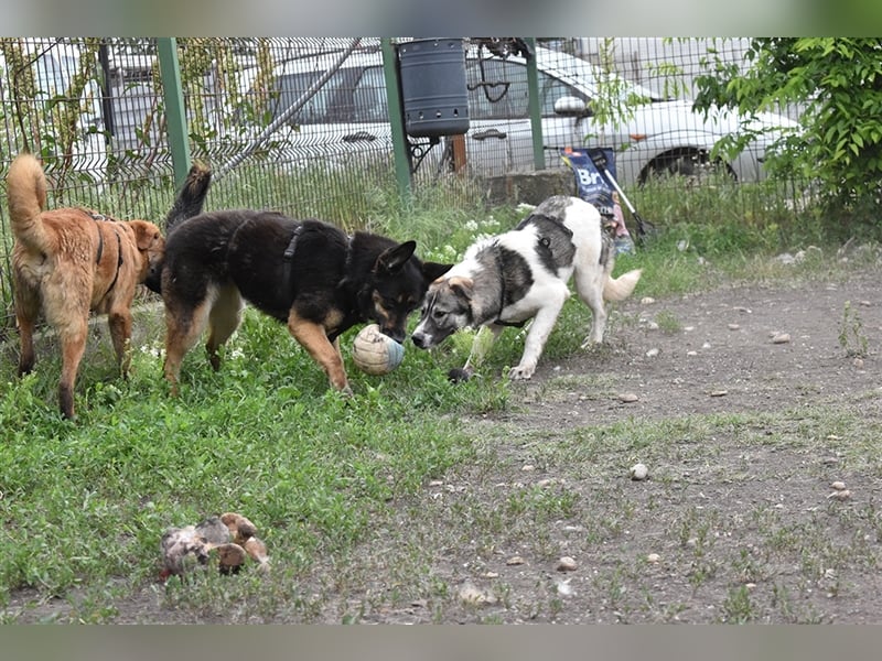 ASSUNTA-beginnt das Leben zu genießen und hat eine liebevolle Familie mehr als verdient