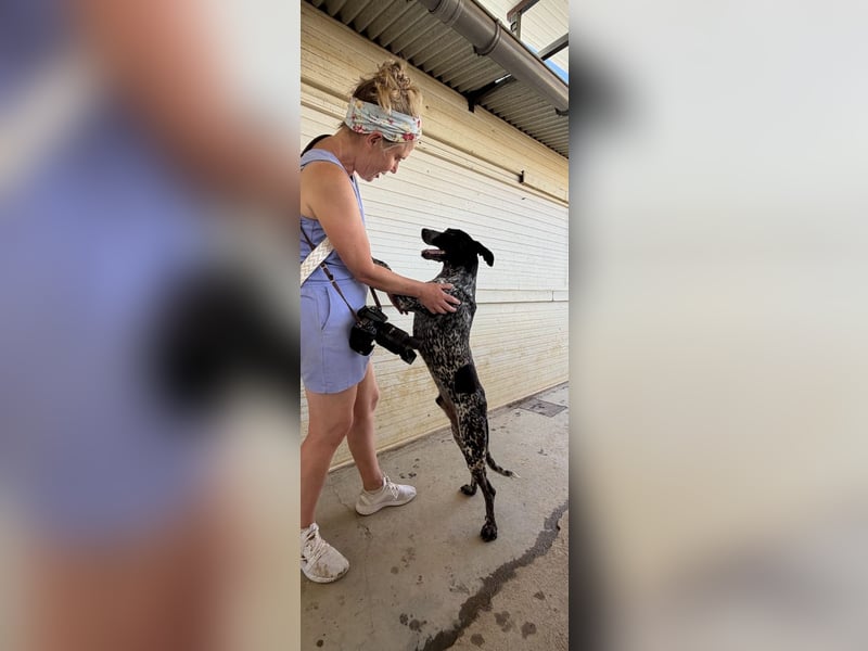 FIGARO-freundlicher, neugieriger Bub sucht liebevolles Für-immer-Zuhause