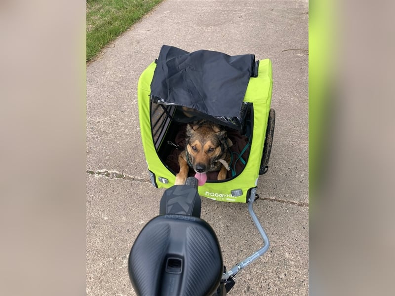 RISCO- wartet in 37115 Nesselröden (Nähe Göttingen)