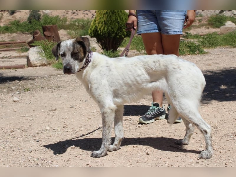 LUNAE - mit wunderbarer Balance