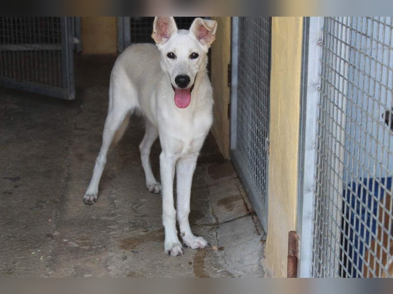 KEN - freundlich, sozial und aktiv