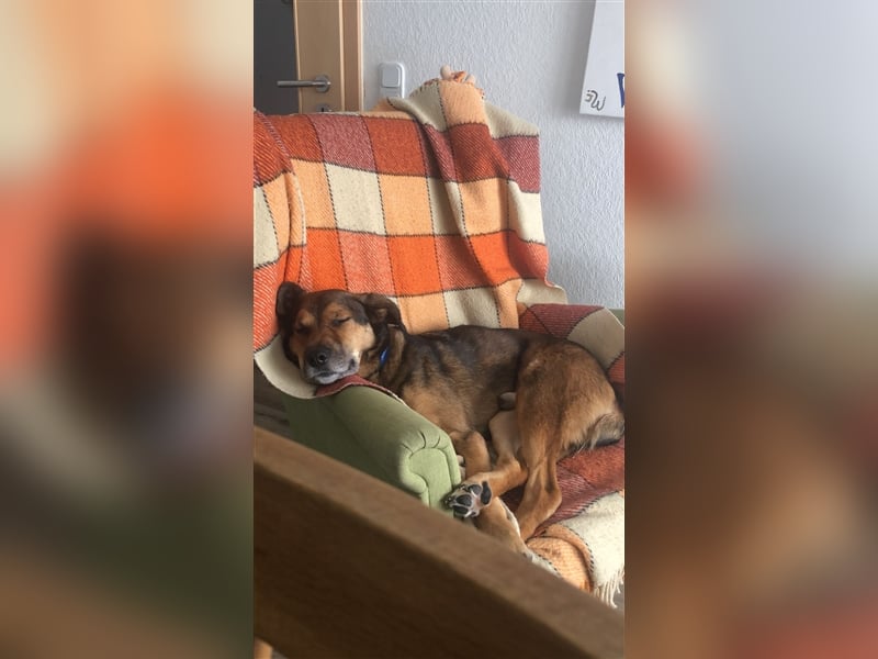 RISCO- wartet in 37115 Nesselröden (Nähe Göttingen)