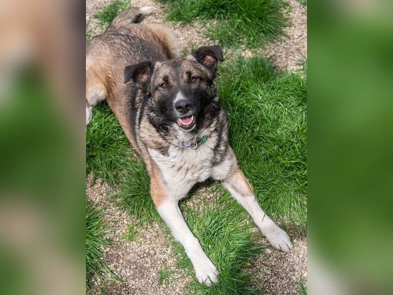 LIA-hat ihre Koffer voller Hoffnung auf einen Neustart gepackt und wartet jetzt auf ihr großes Wunde