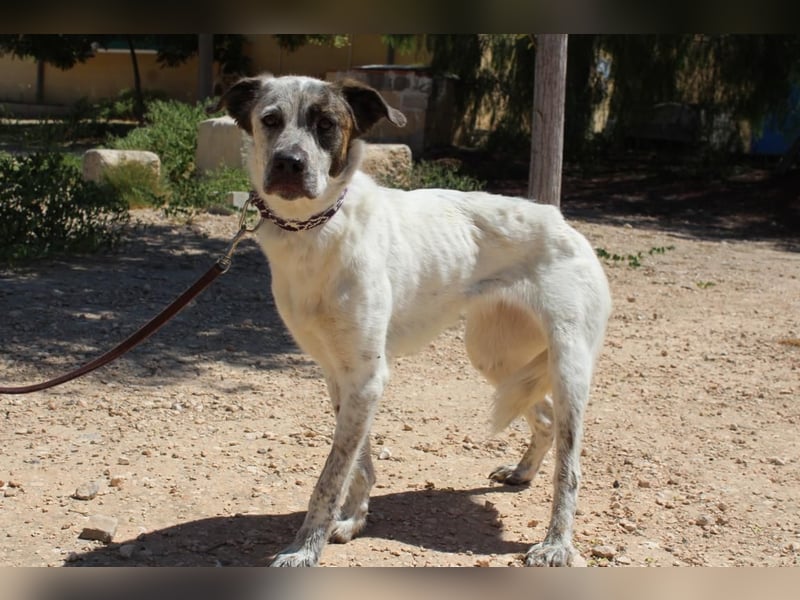 LUNAE - mit wunderbarer Balance