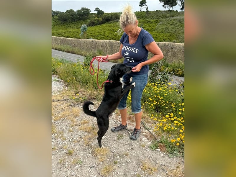 BRIGADEIRO-everybodys darling, liebenswert, freundlich, sehnt sich nach menschlicher Nähe