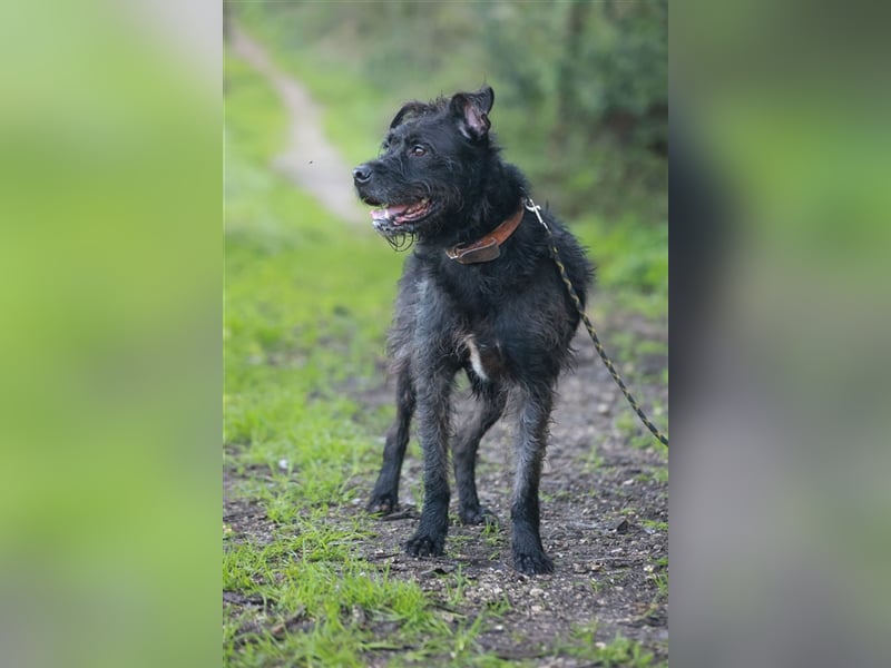 OSLO-warmherzig, anhänglich, liebenswert