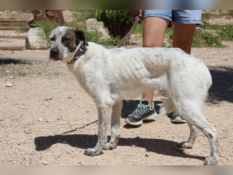 LUNAE - mit wunderbarer Balance