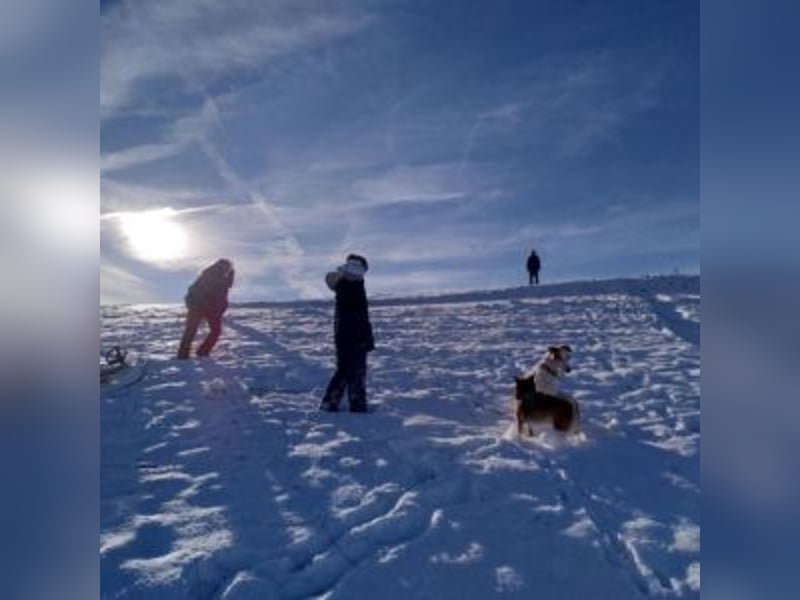 NEKO-fröhlicher, aktiver Begleiter, der gerne draußen unterwegs ist