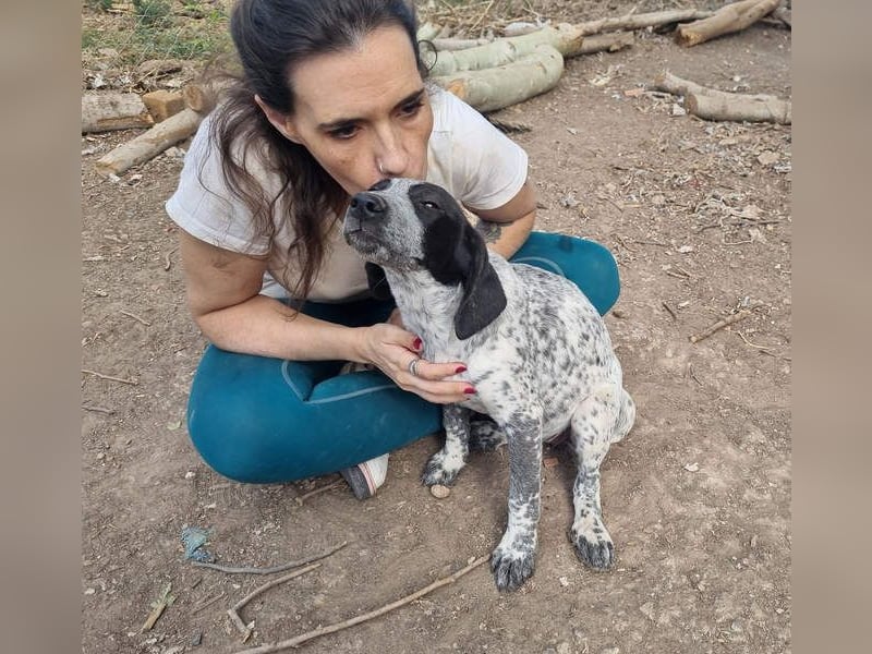 FLECHA-neugierig, sensibel, bewegungsfreudiges Mädchen sucht ihr liebevolles "Für-immer-Zuhause"