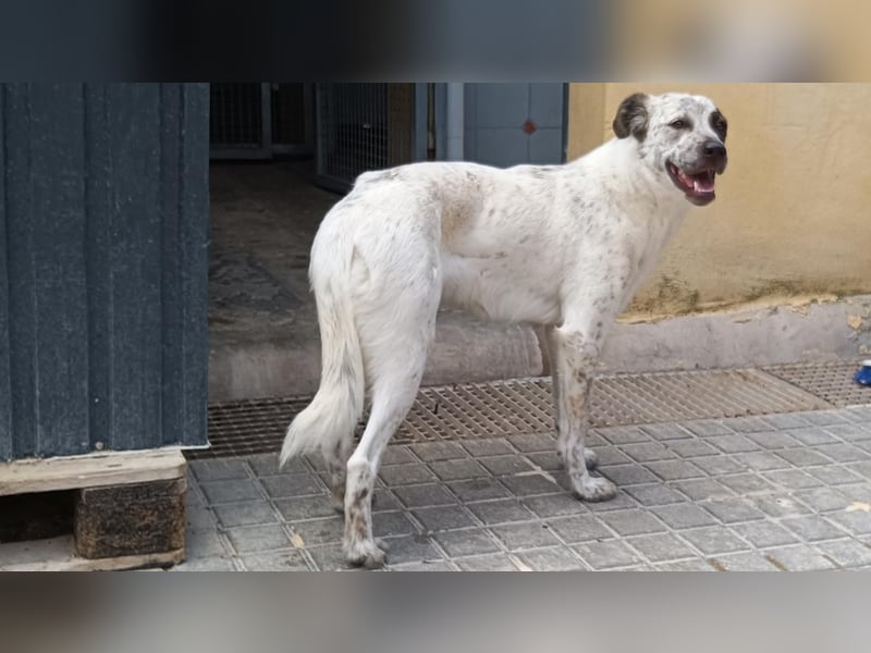 LUNAE - mit wunderbarer Balance