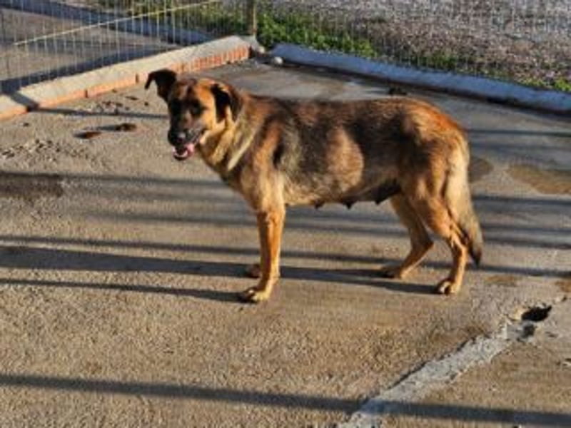 BLAYA-stolz, intelligent und zugleich unglaublich liebevoll