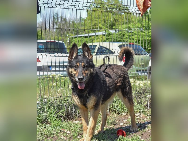 ASSUNTA-beginnt das Leben zu genießen und hat eine liebevolle Familie mehr als verdient