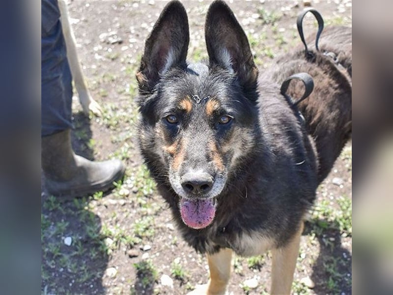 ASSUNTA-beginnt das Leben zu genießen und hat eine liebevolle Familie mehr als verdient