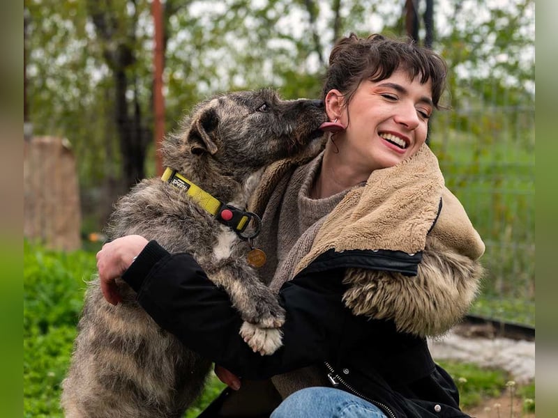 TIARA-sonniges Gemüt, treue, anhängliche Hündin