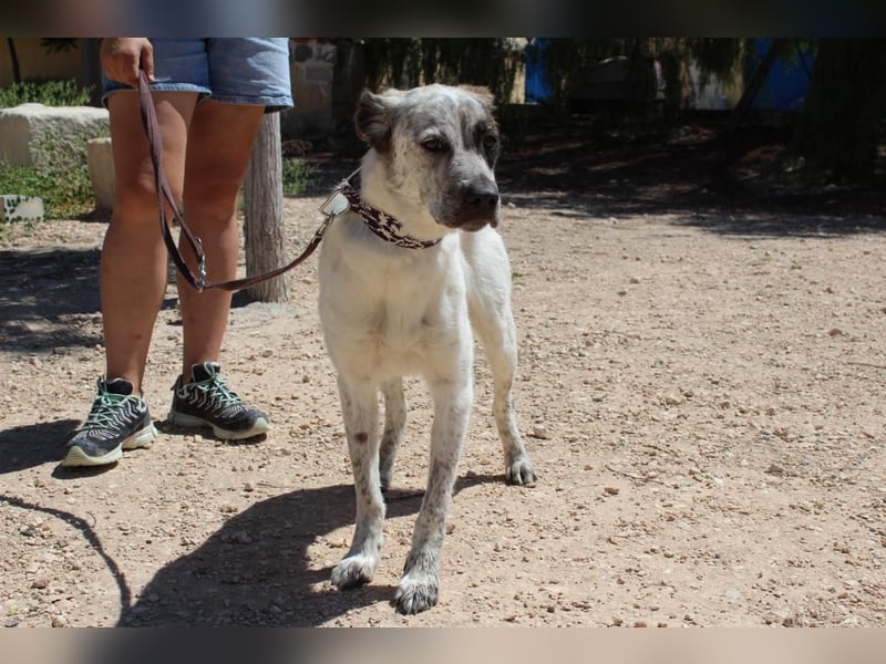 LUNAE - mit wunderbarer Balance