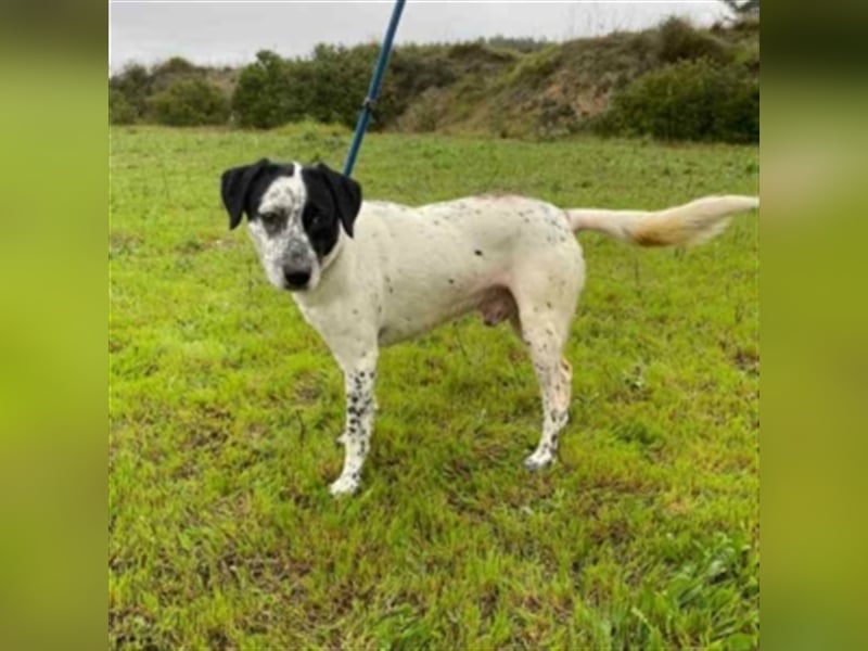 DANTE-Sonnenschein sucht souveräne Menschen