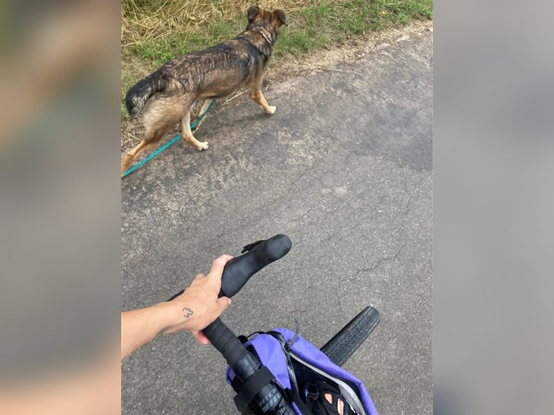 RISCO- wartet in 37115 Nesselröden (Nähe Göttingen)