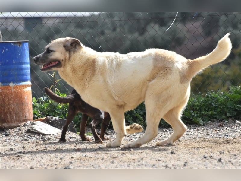 Bamali-wartet in 39291 Hohenwarthe