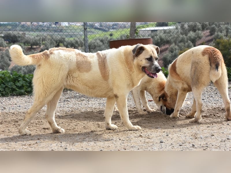 Bamali-wartet in 39291 Hohenwarthe