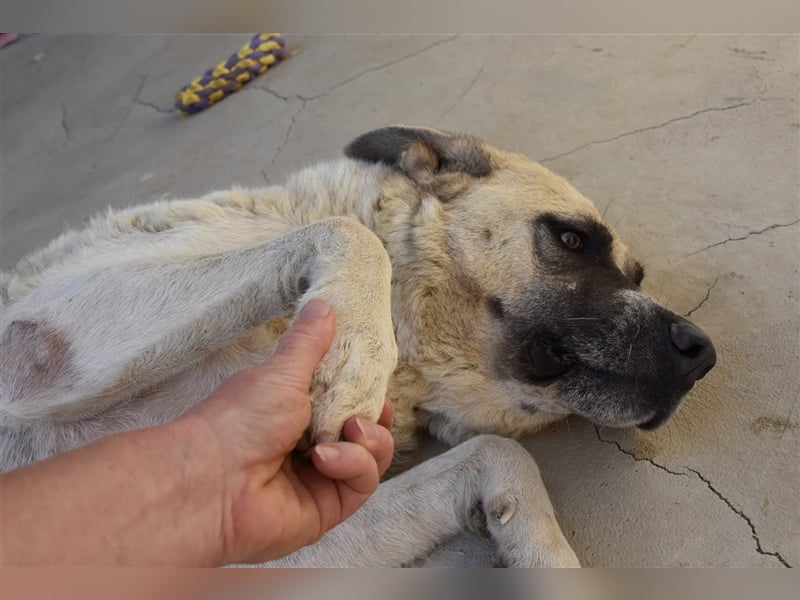 Bamali-wartet in 39291 Hohenwarthe