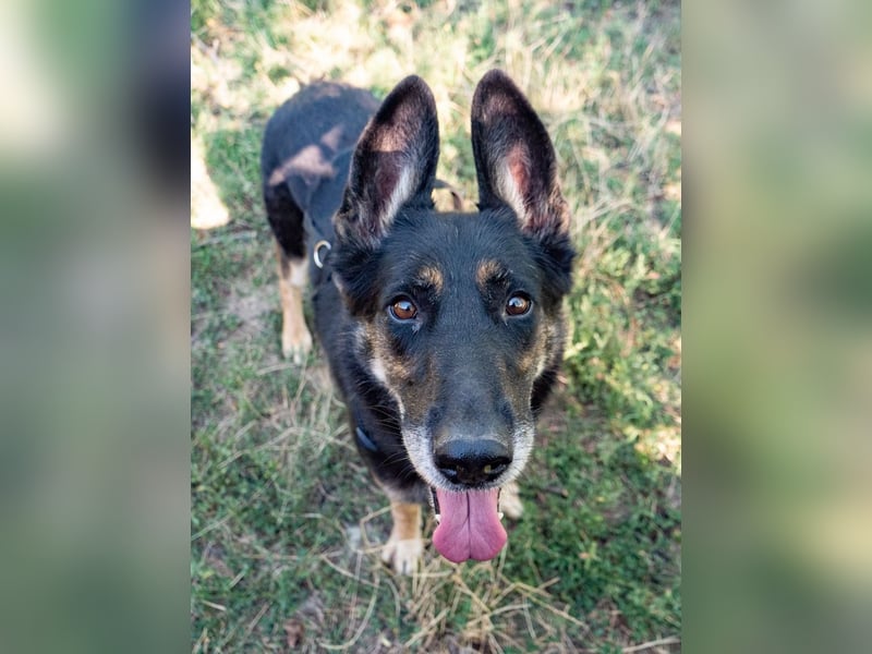 ASSUNTA-beginnt das Leben zu genießen und hat eine liebevolle Familie mehr als verdient