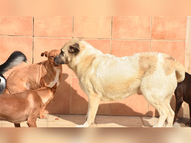 Bamali-wartet in 39291 Hohenwarthe