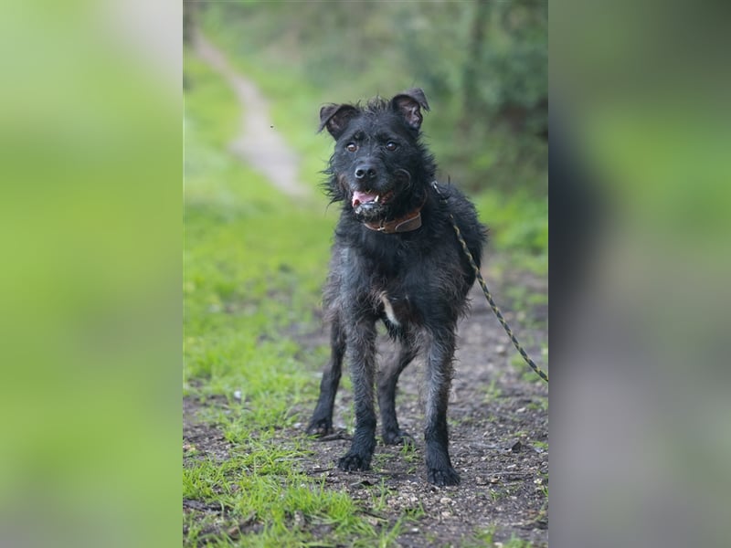 OSLO-warmherzig, anhänglich, liebenswert