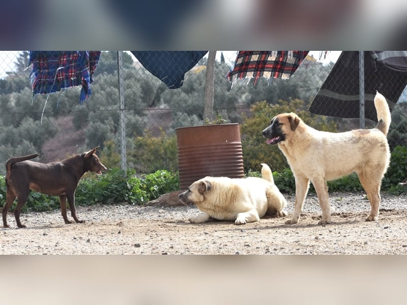 Bamali-wartet in 39291 Hohenwarthe