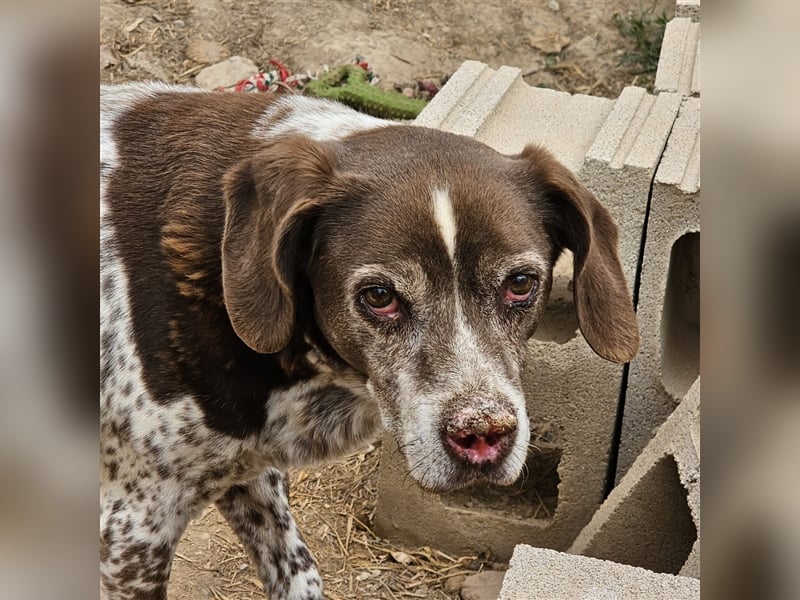 Kapi-hat es verdient in einer Familie aufzublühen