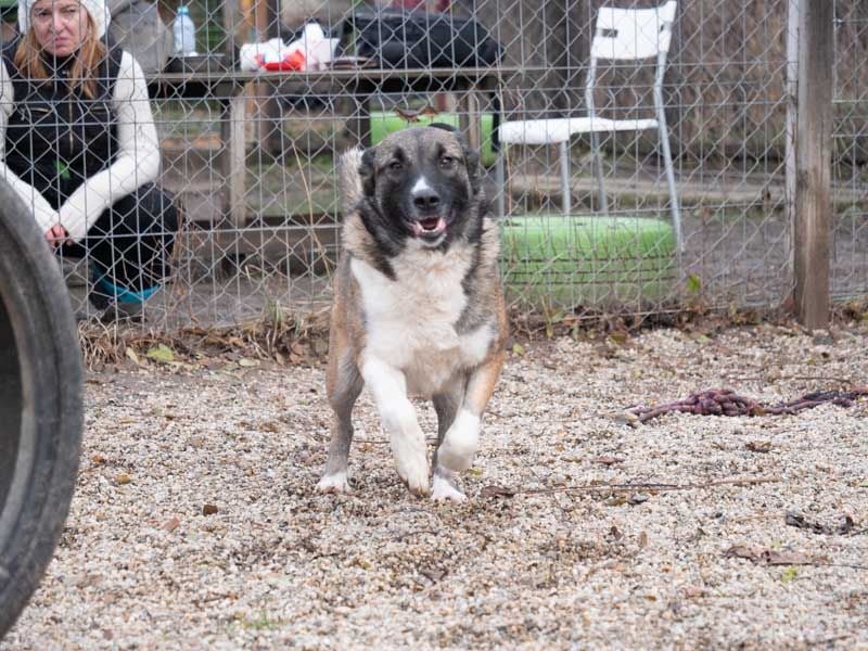 LIA-hat ihre Koffer voller Hoffnung auf einen Neustart gepackt und wartet jetzt auf ihr großes Wunde