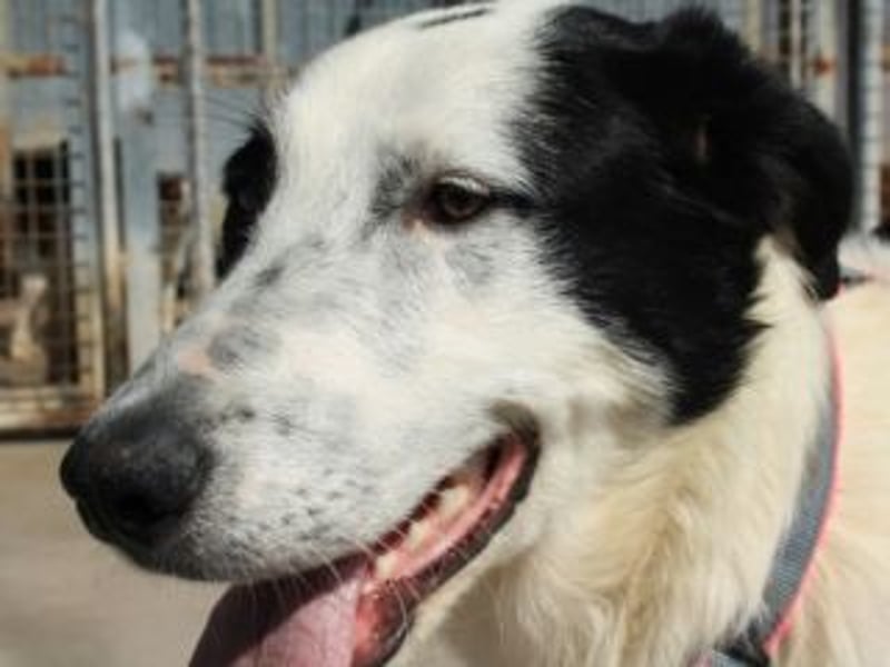 SOL-möchte Ihr ganz großes Herz an liebe Menschen zu verschenken