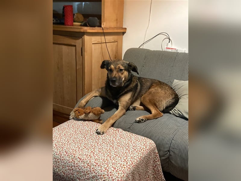 RISCO- wartet in 37115 Nesselröden (Nähe Göttingen)