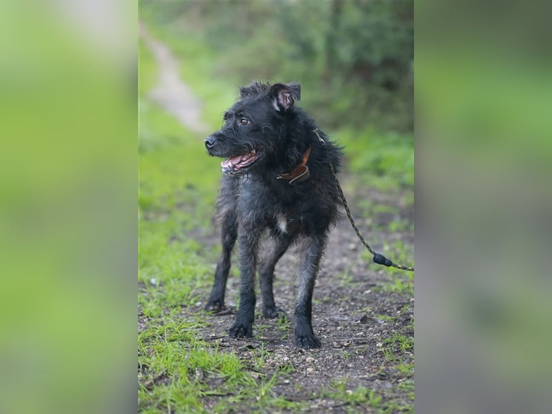 OSLO-warmherzig, anhänglich, liebenswert