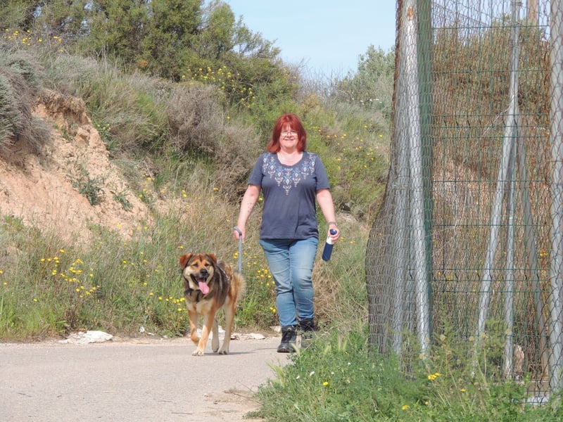SIBILO - treuer Hundemann
