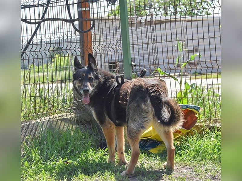 ASSUNTA-beginnt das Leben zu genießen und hat eine liebevolle Familie mehr als verdient