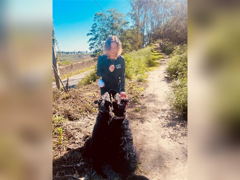 OSLO-warmherzig, anhänglich, liebenswert