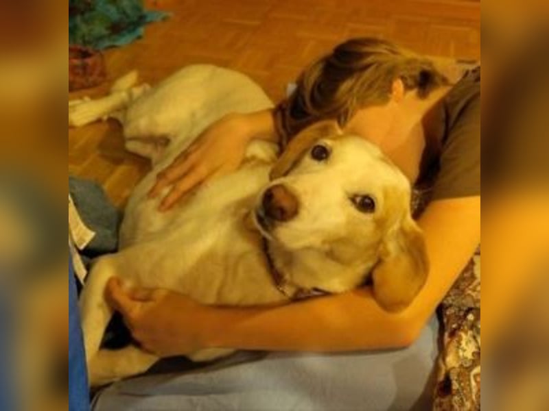 NEKO-fröhlicher, aktiver Begleiter, der gerne draußen unterwegs ist