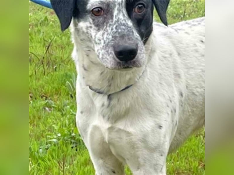 DANTE-Sonnenschein sucht souveräne Menschen