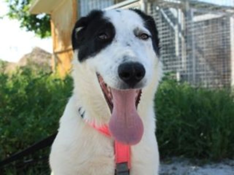 SOL-möchte Ihr ganz großes Herz an liebe Menschen zu verschenken