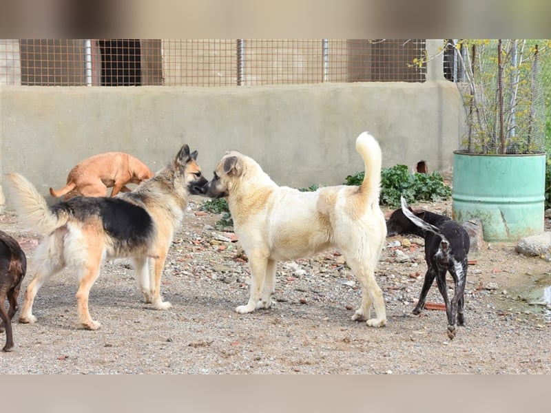 Bamali-wartet in 39291 Hohenwarthe