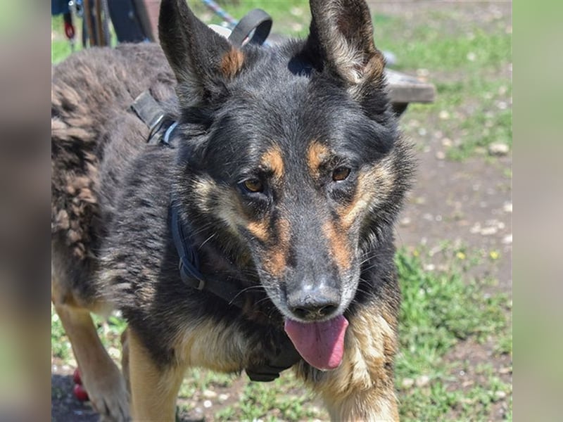 ASSUNTA-beginnt das Leben zu genießen und hat eine liebevolle Familie mehr als verdient