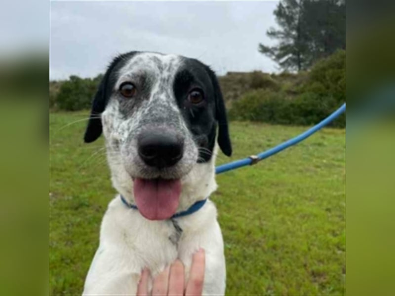 DANTE-Sonnenschein sucht souveräne Menschen