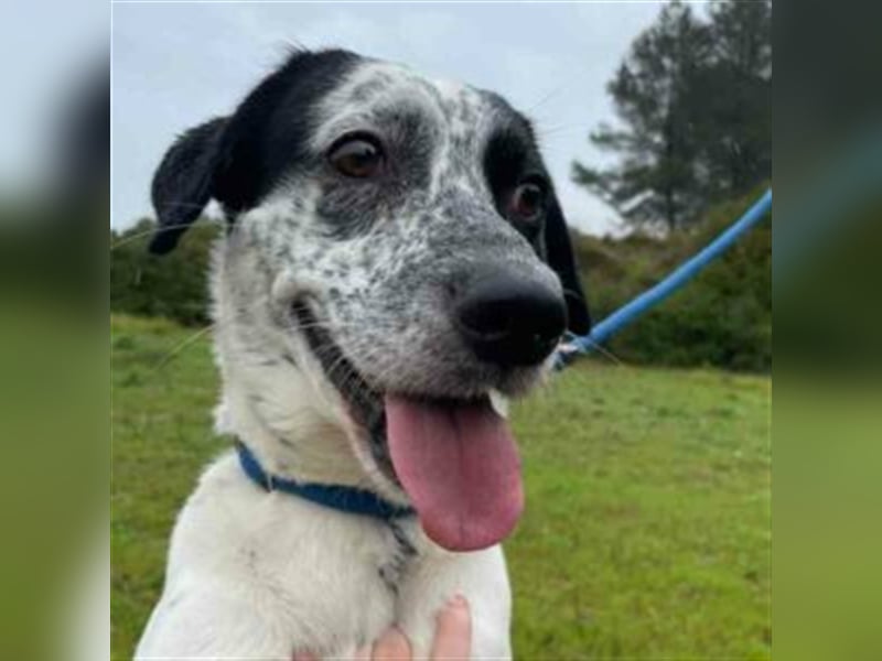 DANTE-Sonnenschein sucht souveräne Menschen