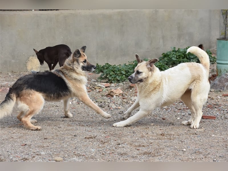 Bamali-wartet in 39291 Hohenwarthe