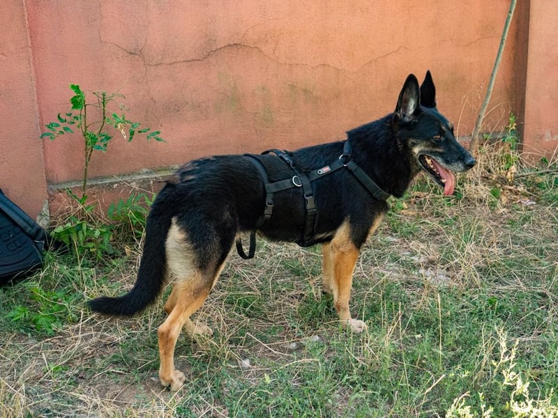 ASSUNTA-beginnt das Leben zu genießen und hat eine liebevolle Familie mehr als verdient