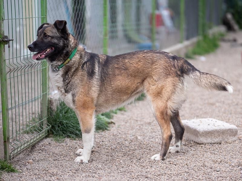 LIA-hat ihre Koffer voller Hoffnung auf einen Neustart gepackt und wartet jetzt auf ihr großes Wunde
