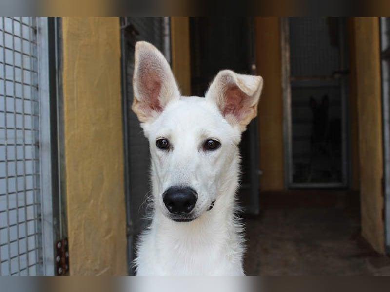 KEN - freundlich, sozial und aktiv