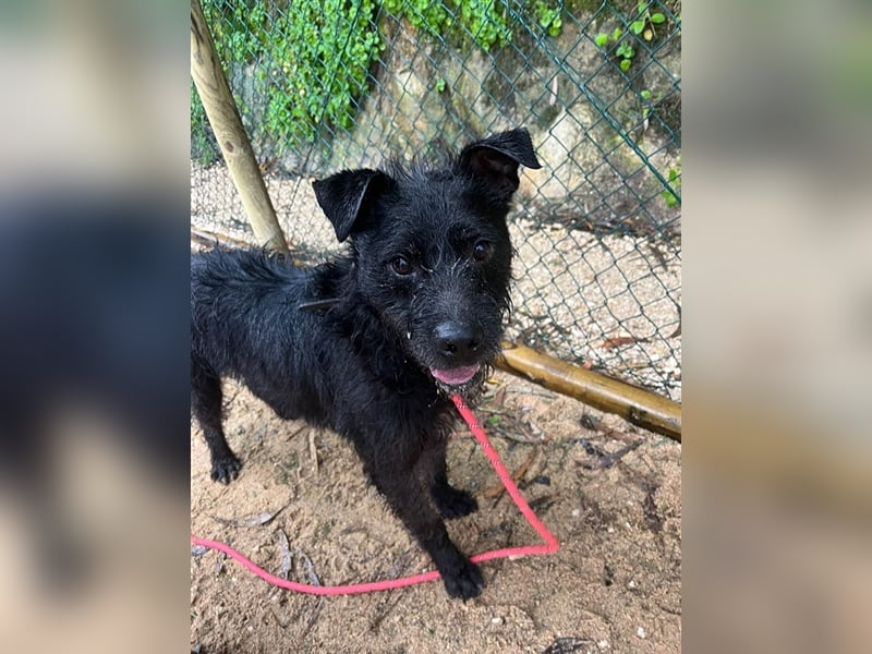 OSLO-warmherzig, anhänglich, liebenswert