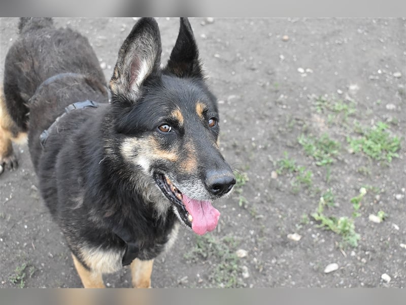 ASSUNTA-beginnt das Leben zu genießen und hat eine liebevolle Familie mehr als verdient