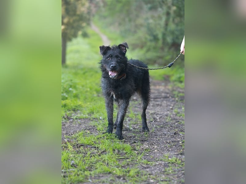 OSLO-warmherzig, anhänglich, liebenswert